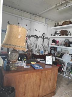 Residence Pegaso - Nettuno - 2