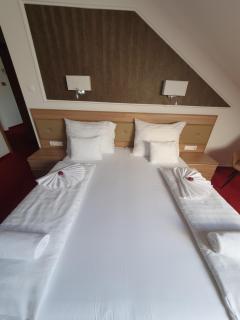 Corvina Hotel-Restaurant - 1