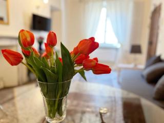 Il canto de' Cenci apartment - Arezzo - 1