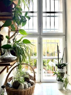 Unique, homey apartment with free parking in central Budapest - Budapest - 3