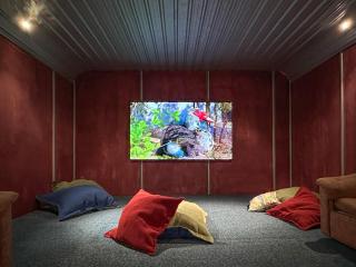The Crossing Lodge & Backpackers - National Park - 2