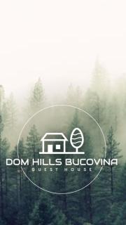 DOM HILLS Bucovina - Gura Humorului - 0