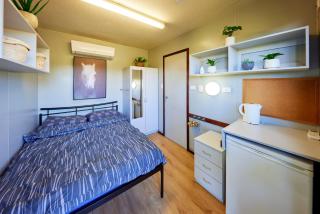 KUR-Cow farm escape 35 minutes from Cairns - Kuranda - 4