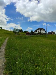 Bucovina mea - 3