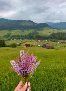 Bucovina mea - 5
