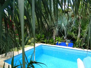 Villa Tropica - Secluded Private Pool, Jungle Garden, Soulful Escape near Split & Trogir - 7