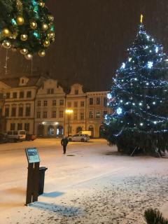 Hotel Vacek Pod Věží - Hradec Králové - 4