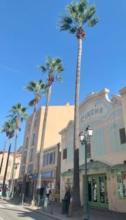 Coup de cœur à Sanary sur Mer - 8