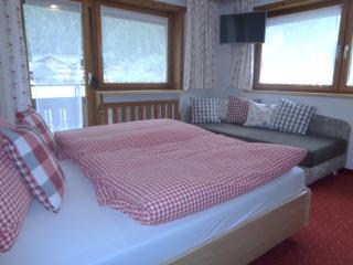 Ferienwohnungen Haus Margit - Mayrhofen - 2