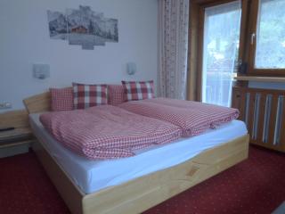 Ferienwohnungen Haus Margit - Mayrhofen - 1