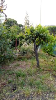 Etna Hiking House - Nicolosi - 5