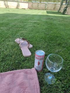 Villa with Pool & Garden apartment 2 Vuk - 4