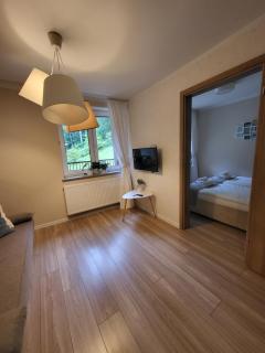 Apartamenty Willove Wzgórze - Duszniki-Zdrój - 1