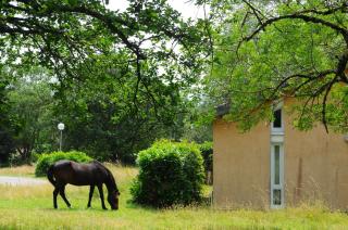 Black Mountain Village - Cuxac-Cabardès - 0