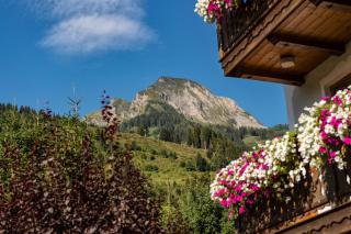 Bauernhofhotel "die Unterbergerin" - Zimmer mit Frühstück und Ferienwohnungen in Gastein mit GRATIS Thermeneintritt - Dorfgastein - 1