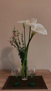 Apartman Centar 24 - Kragujevac - 3