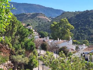 CASA DE FLORES - Benahavís - 0