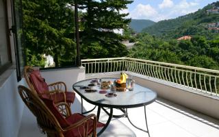 Avlija Garden Gem - free parking - Sarajevo - 6