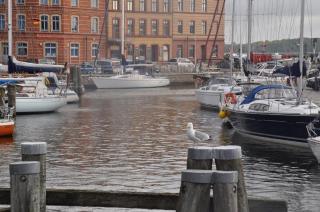 Apartments am Sund - Stralsund - 4