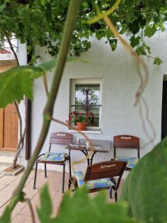 Apartmani Košnica - 1