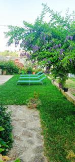 Casa Fiore Olbia - Olbia - 0