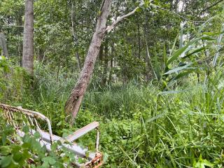 Häuschen in den Erlen - Eberswalde - 1