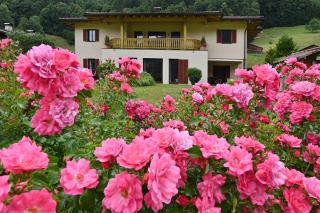 Ferienhaus Schwarzhans - Schruns - 3