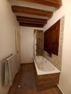vue imprenable sur montagne - Saint-Aventin - 3