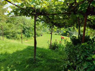 Къща за гости Слънце Борики - 7