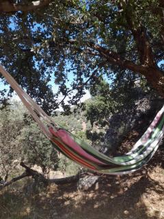 Olive -Casa da Boavista - Alegrete - 3