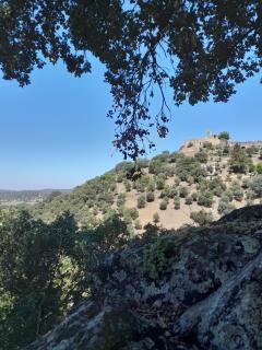 Olive -Casa da Boavista - Alegrete - 9