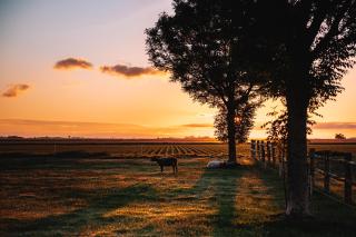 Bij de Genieterij Luxe Tiny Houses - 8