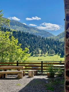 Likani-house's Cottage - Borjomi - 0