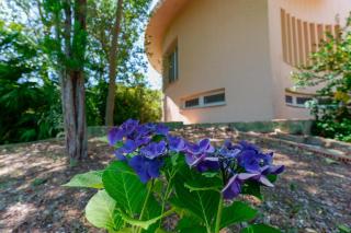 B&B Villa Zola - 7