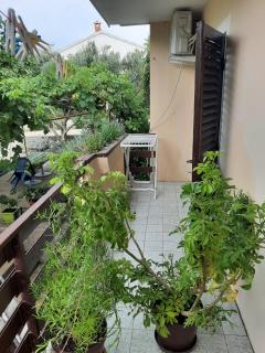 Apartmani Marija - Povljana (Pogliana) - 2