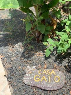 Casa Gato - 5