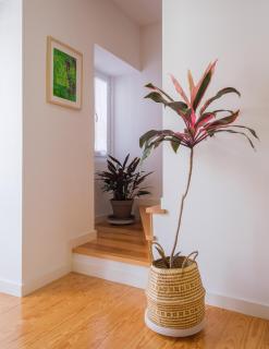 Botanic Garden Duplex - Ponta Delgada - 5