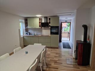 Apartma Tija - Tolmin - 9