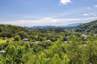 ERN857 - A Dream Come True - Great Location! Close To All The Action! cabin - 8