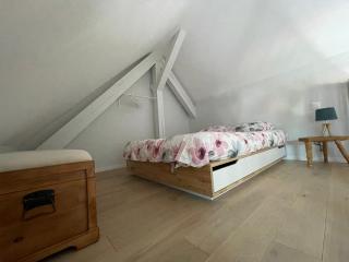 A l'ombre du figuier - 6