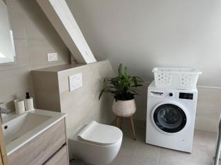 A l'ombre du figuier - 1