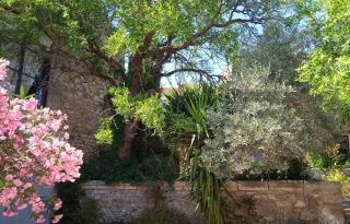 Mazet Des Artistes - Mouriès - 2