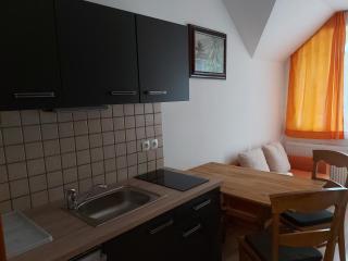 Apartments and Rooms Martuljk - Kranjska Gora - 7