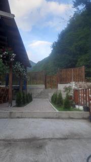 Izvorul Maleii - Petrila - 2
