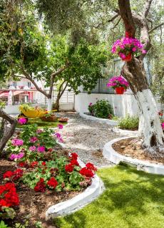 Ianos Apartments - Potos - 0