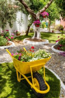 Ianos Apartments - Potos - 6