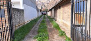 Los girasoles - Esquel - 8