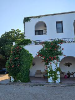 Hacienda De Mare - 5