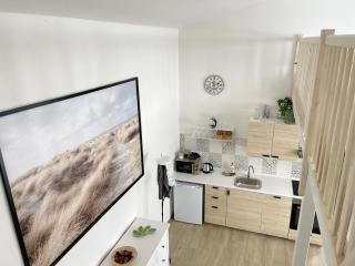 Comfortable apartments under the St. Barbara´s Cathedral - Kutná Hora - 8