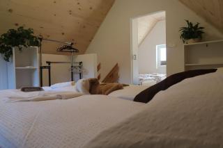 Holiday home Dreams - Kobarid - 1